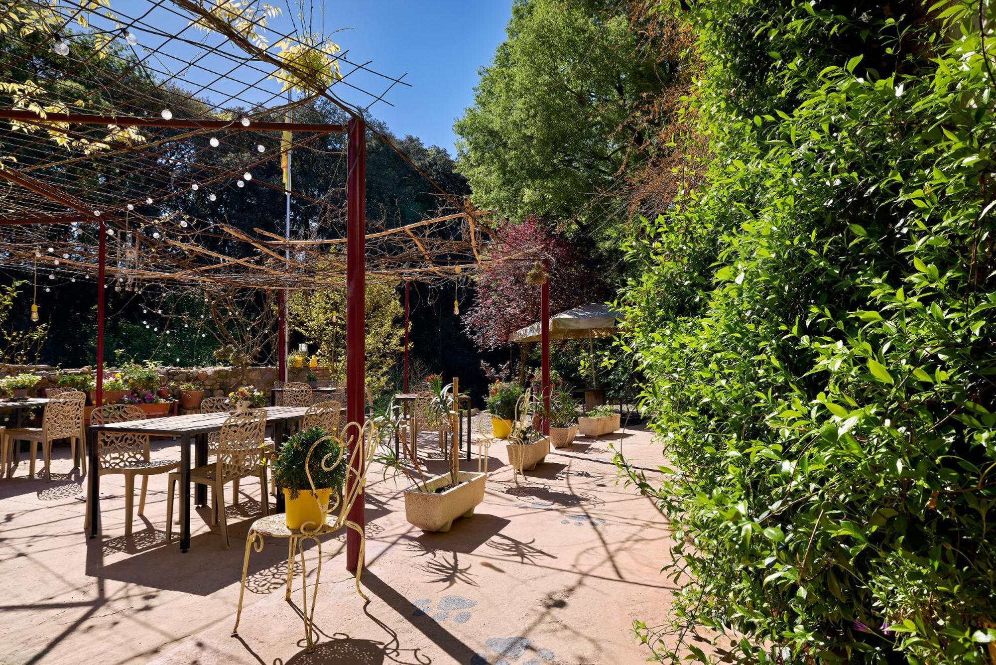 Bed and Breakfast Mas Torrencito pet friendly Parets d'Empordà Exterior foto