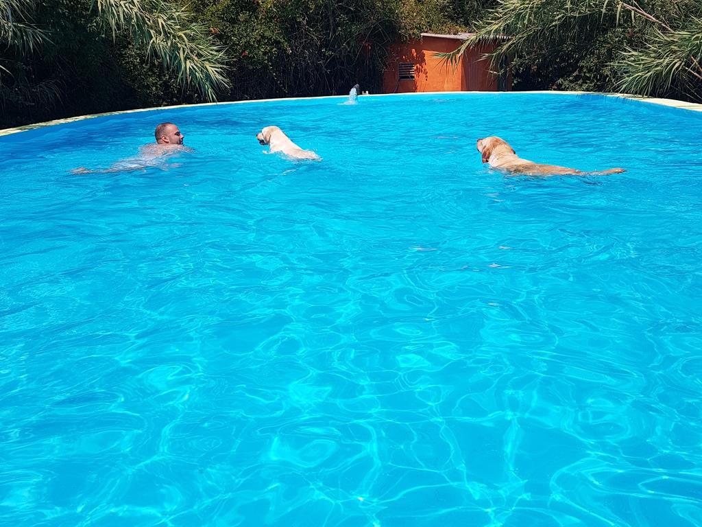 Bed and Breakfast Mas Torrencito pet friendly Parets d'Empordà Exterior foto